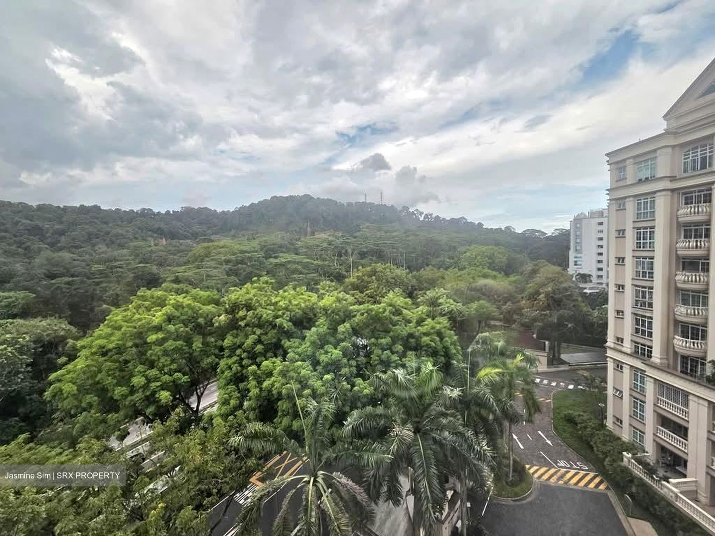 Symphony Heights (D21), Condominium #559696601